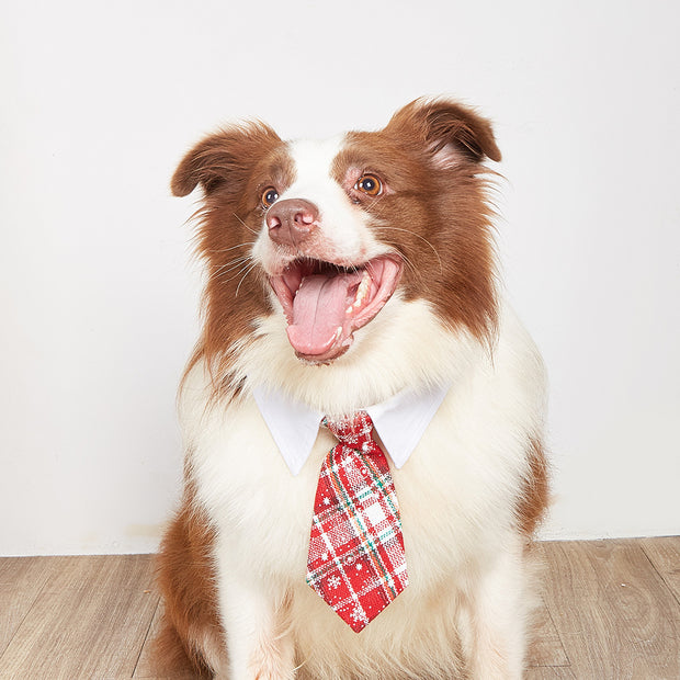 New British style handsome Christmas dog collar Christmas pet tie