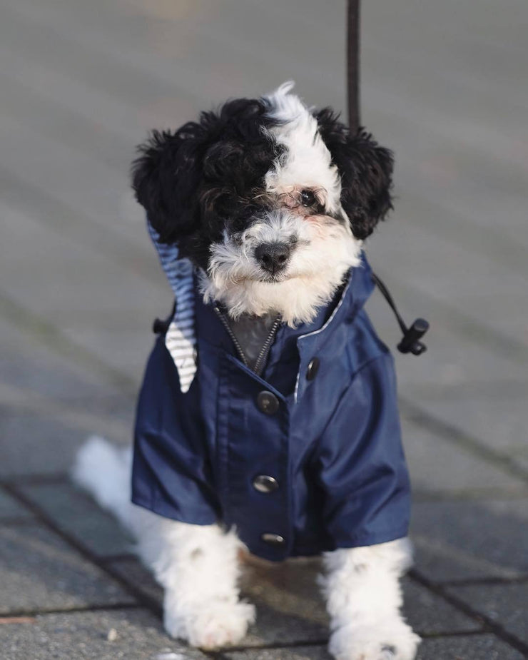 Windproof and rainproof British retro thick dog raincoat dog pet submachine jacket