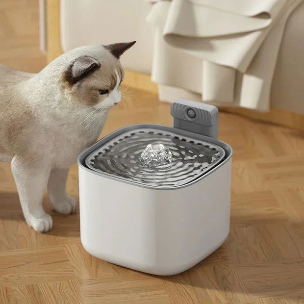 3L Wireless Sensor Cat Water Fountain Intelligent Water Dispenser For Cats Dog Drinker Automatic Filtering Pet Drinking Feeder - Follow yourDream