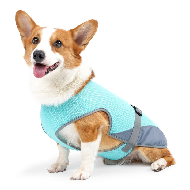 Pet Cooling Clothing Dog Clothing Pet Cooling Pet Supplies - Follow yourDream