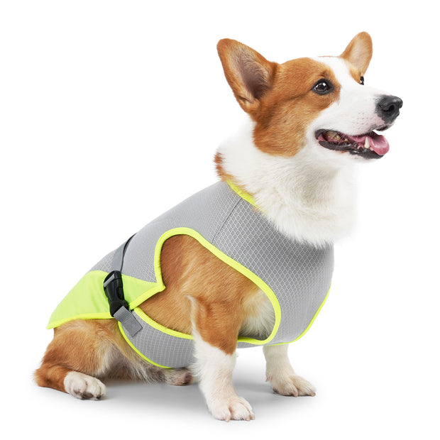 Pet Cooling Clothing Dog Clothing Pet Cooling Pet Supplies - Follow yourDream