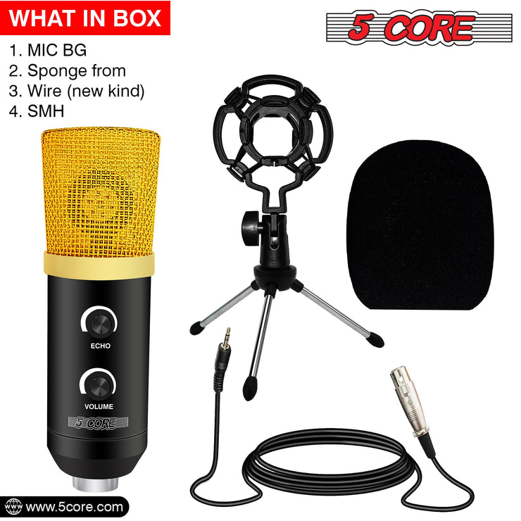 5Core Podcast Equipment Bundle Professional Studio XLR Condenser