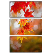 Autumn Colours 3 Split Panel Canvas Print