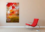 Autumn Colours 3 Split Panel Canvas Print