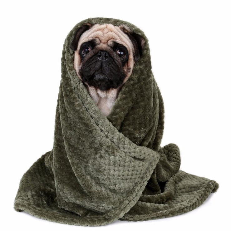 Blanket,Pet,Dog,Warm - Follow yourDream