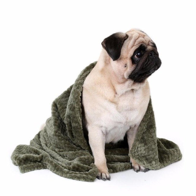 Blanket,Pet,Dog,Warm - Follow yourDream