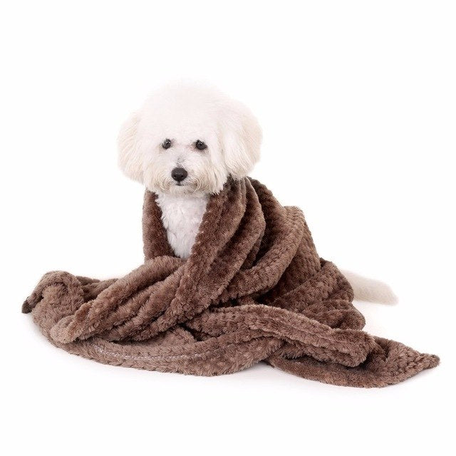 Blanket,Pet,Dog,Warm - Follow yourDream