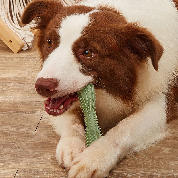 Chew Toys For Dog Teeth Cleaning - Follow yourDream