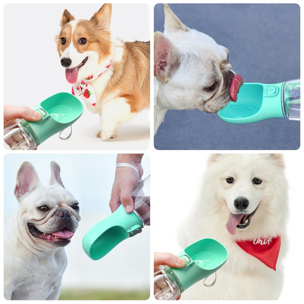 Outdoor Pet Dog Feeder Bowls Cats Dogs Travel Water Dispenser Feeder - Follow yourDream